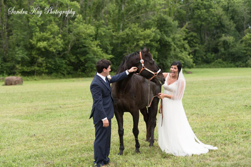 Brides and Horses