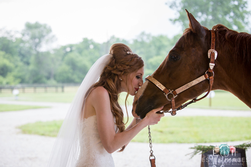 Brides and Horses